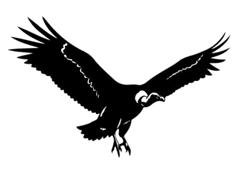 Vulture Creek